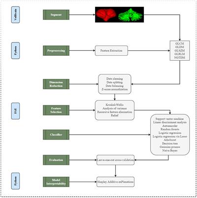 A more objective PD diagnostic model: integrating texture feature markers of cerebellar gray matter and white matter through machine learning